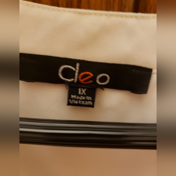 Cleo Sheer Blouse! - Picture 6 of 12